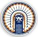 Illinois Fighting Illini 12 Car Magnet