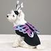 MEDIUM - Flutter Pup Butterfly Dog Costume