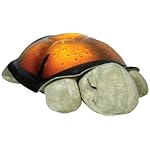 Cloud b Twilight Constellation Night Light, Turtle