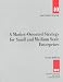 A Market-Oriented Strategy for Small and Medium Scale Enterprises (Discussion Paper (International Finance Corporation))