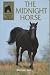 Midnight Horse (Usborne Sandy Lane Stables)