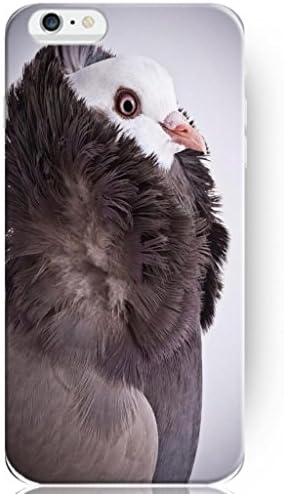Iphone 6 Case Personalized Hard Back Cover Good Grip Slim Fit Wild Animal Stylish Design (4.7 inch) -- Pigeon in a Sweater