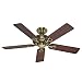 Hunter 20510 Savoy 52-Inch 5-Blade Ceiling Fan, Antique Brass with Rosewoood and medium Oak blades.