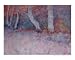From Over Here Scenic Giclee Poster Print by Donna Maxey Hanna , 10x8