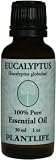 Eucalyptus 100% Pure essential Oil -30ml
