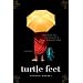 Turtle Feet