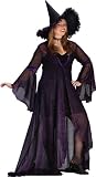 Purple Rose Shimmering Witch Costume
