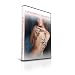 The Tattooists Ultimate (dvd)