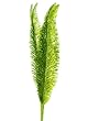 Pack Of 6 Christmas Brites Green Glittered Fern Sprays 27"