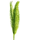 Pack Of 6 Christmas Brites Green Glittered Fern Sprays 27