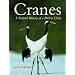 Cranes: A Natural History of a Bird in Crisis