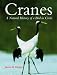 Cranes: A Natural History of a Bird in Crisis