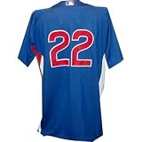 Xavier Nady #22 2010 Chicago Cubs Game Used Batting Practice Cool Base Blue Jersey (48)
