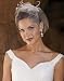Ivory Feather Cage Wedding Veil