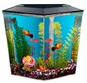 Aquaruis Betta Tank 1 Gallon