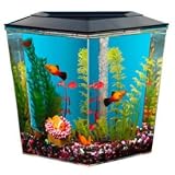 Aquaruis Betta Tank 1 Gallon