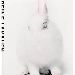 White Lies [Vinyl LP]