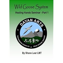 Wild Goose Healing Hands Seminar - Part 1