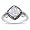 10K White Gold 1 1/10 CT TGW Rose de France 1/10 CT TDW Black Diamond Fashion Ring