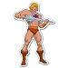 He-Man Masters of the Universe bumper sticker 3