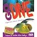 Open Water Diver Manual