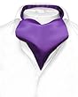 Vesuvio Napoli ASCOT Solid PURPLE INDIGO Color Cravat Men's Neck Tie