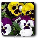 Flowers - Pansie - Mouse Pads