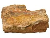 Petrified Wood