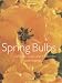 Spring Bulbs: Daffodils, Tulips and Hyacinths