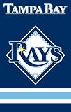Tampa Bay Devil Rays Applique Embroidered Banner Flag 44"x28" MLB Baseball Fan Shop Sports Team Merchandise