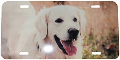 Custom Aluminum License Plates - Custom Order