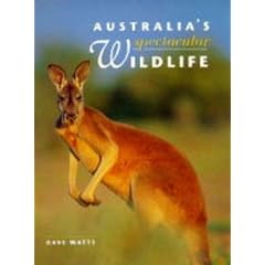 Australia's Spectacular Wildlife