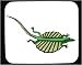 Mouse Pad with feeling, rainforest, reptile, flying, lizard