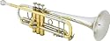 Bach 180-37 Stradivarius Series Bb Trumpet, Lacquer Yellow Brass Bell