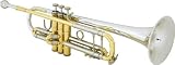 Bach 180 - 37 Stradivarius Series Bb Trumpet, Lacquer Yellow Brass Bell - B000T04F5W