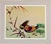 Mandarin Duck Love Birds Woven Picture