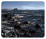 Shi Shi Beach #2 - 8x9 Inch Mouse Pad