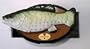 BIG MOUTH BILLY BASS THE SINGING SENSATION