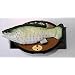 BIG MOUTH BILLY BASS THE SINGING SENSATION