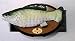 41MM%2B5z5JvL. SL75  Bass Fishing Equipment:Chasing The Whopper