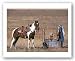 Cowgirl in Heaven by David R. Stoecklein 12.875"x18" Art Print Poster