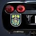 Army 12th Special Forces Group Flash-DUI 6 MAGNET