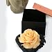Grehom Decorative Peach Rose-Large; Exclusive Gift;Elegant Room Fragrance;Beautiful Table Centrepiece;Delivered in Handmade Gift Box; Beautiful Gift