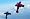 Arrows Aerobatic Flying Experience