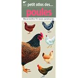 Détails sur le produit