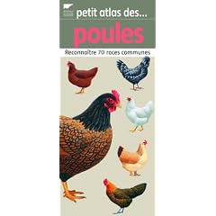 Petit atlas des poules : Reconna�tre 70 races communes