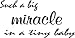 View Image
