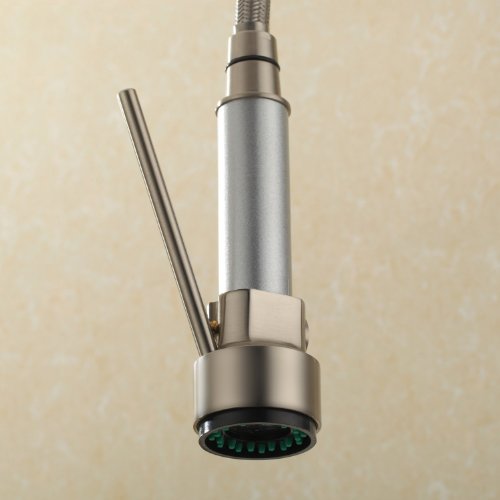 Rozin Brushed Nickel Kitchen Faucet Replacement Hand Spayer Head