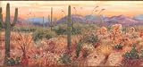Orange Sonoran Sunrise Wallpaper Border
