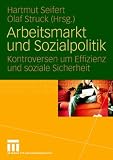 Arbeitsmarkt und Sozialpolitik: Kontroversen um Effizienz und soziale Sicherheit